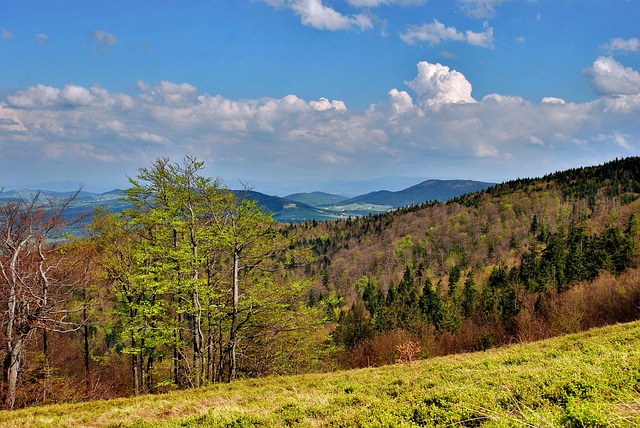 Mogielica (18 km)